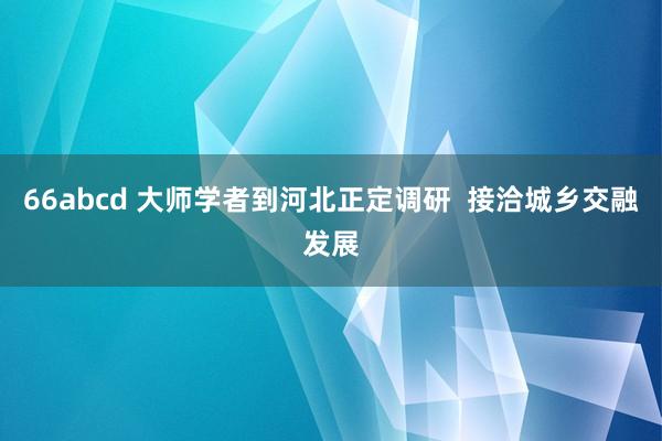 66abcd 大师学者到河北正定调研  接洽城乡交融发展