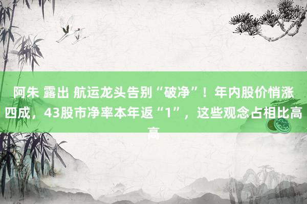 阿朱 露出 航运龙头告别“破净”！年内股价悄涨四成，43股市净率本年返“1”，这些观念占相比高