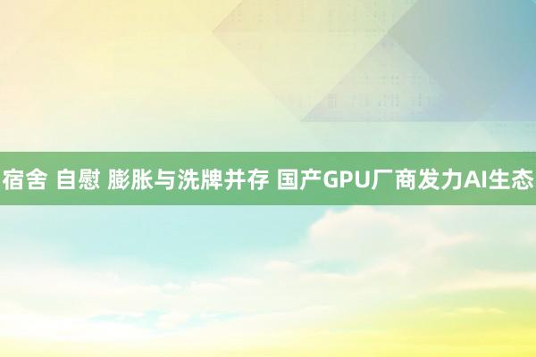 宿舍 自慰 膨胀与洗牌并存 国产GPU厂商发力AI生态