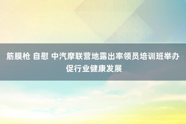 筋膜枪 自慰 中汽摩联营地露出率领员培训班举办 促行业健康发展