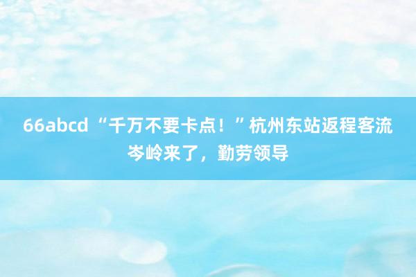 66abcd “千万不要卡点！”杭州东站返程客流岑岭来了，勤劳领导