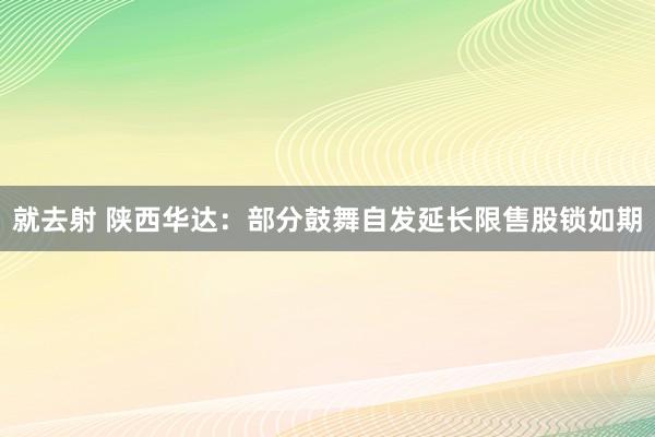 就去射 陕西华达：部分鼓舞自发延长限售股锁如期