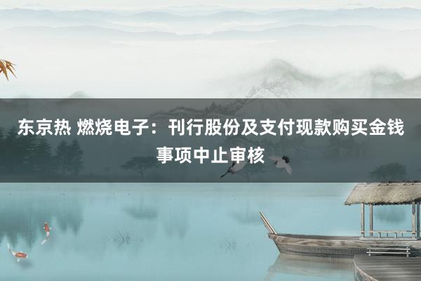 东京热 燃烧电子：刊行股份及支付现款购买金钱事项中止审核