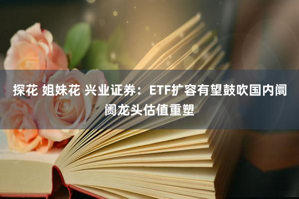 探花 姐妹花 兴业证券：ETF扩容有望鼓吹国内阛阓龙头估值重塑