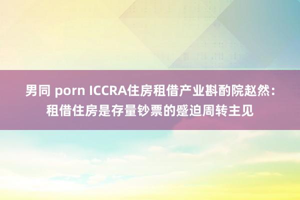 男同 porn ICCRA住房租借产业斟酌院赵然：租借住房是存量钞票的蹙迫周转主见