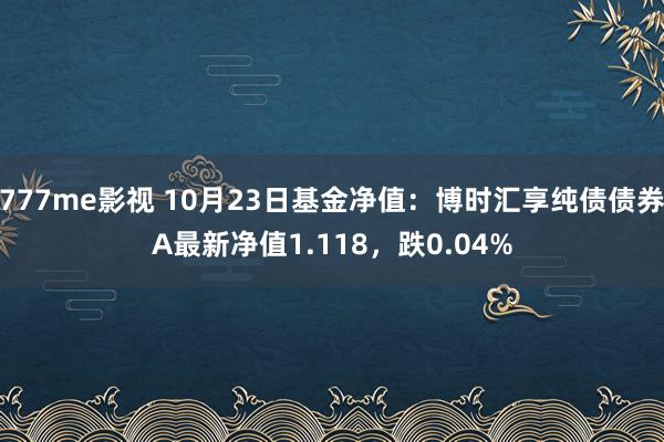 777me影视 10月23日基金净值：博时汇享纯债债券A最新净值1.118，跌0.04%