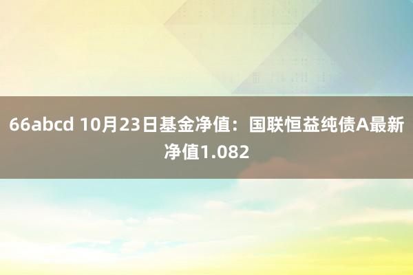 66abcd 10月23日基金净值：国联恒益纯债A最新净值1.082