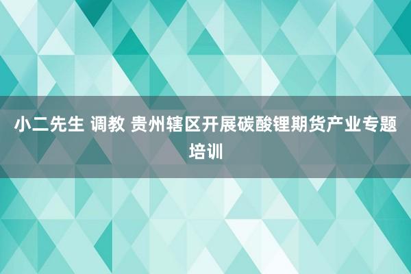 小二先生 调教 贵州辖区开展碳酸锂期货产业专题培训