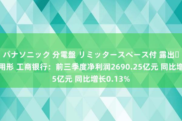 パナソニック 分電盤 リミッタースペース付 露出・半埋込両用形 工商银行：前三季度净利润2690.25亿元 同比增长0.13%