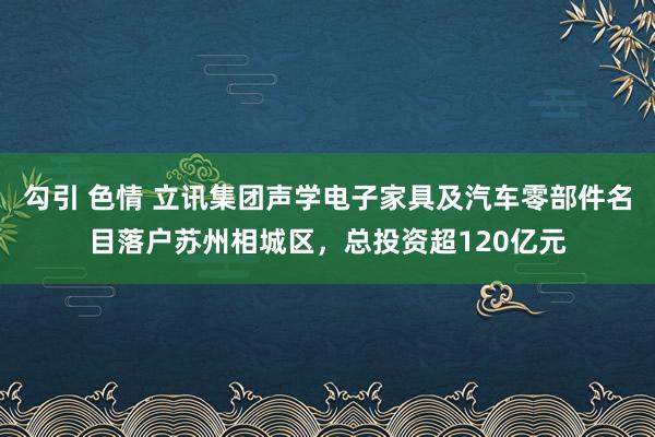 勾引 色情 立讯集团声学电子家具及汽车零部件名目落户苏州相城区，总投资超120亿元