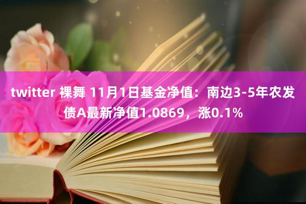 twitter 裸舞 11月1日基金净值：南边3-5年农发债A最新净值1.0869，涨0.1%