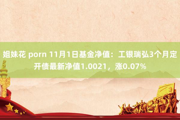 姐妹花 porn 11月1日基金净值：工银瑞弘3个月定开债最新净值1.0021，涨0.07%