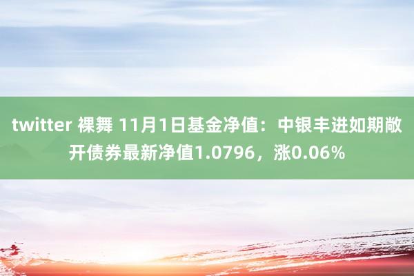 twitter 裸舞 11月1日基金净值：中银丰进如期敞开债券最新净值1.0796，涨0.06%