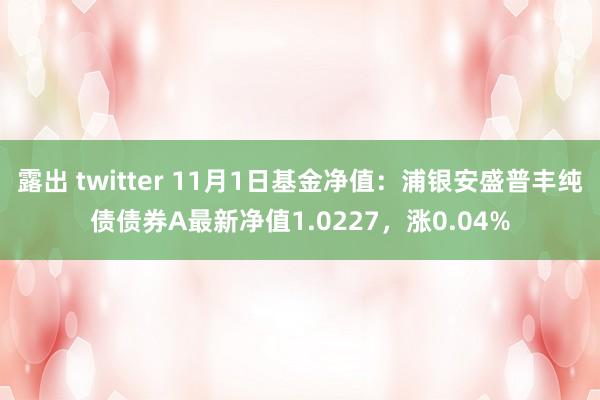 露出 twitter 11月1日基金净值：浦银安盛普丰纯债债券A最新净值1.0227，涨0.04%