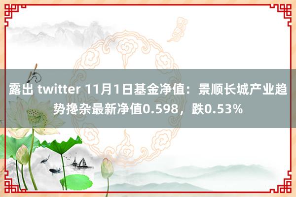 露出 twitter 11月1日基金净值：景顺长城产业趋势搀杂最新净值0.598，跌0.53%