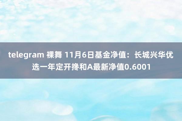 telegram 裸舞 11月6日基金净值：长城兴华优选一年定开搀和A最新净值0.6001