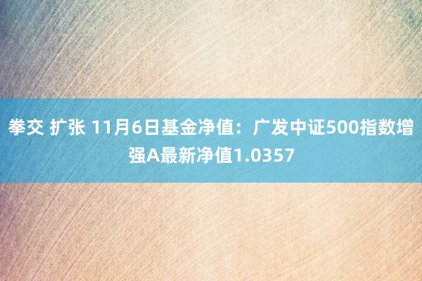 拳交 扩张 11月6日基金净值：广发中证500指数增强A最新净值1.0357