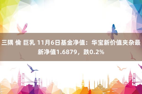 三隅 倫 巨乳 11月6日基金净值：华宝新价值夹杂最新净值1.6879，跌0.2%