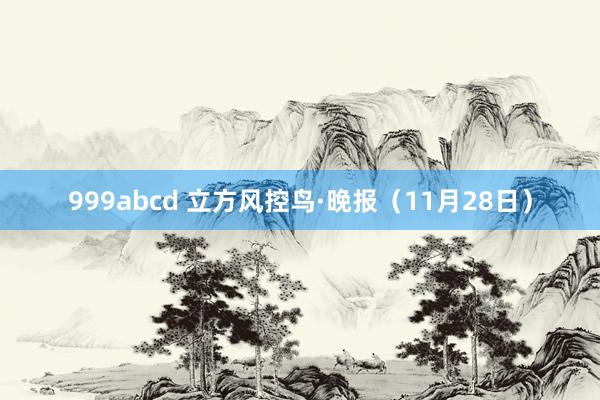 999abcd 立方风控鸟·晚报（11月28日）