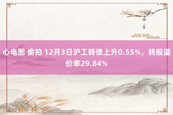 心电图 偷拍 12月3日沪工转债上升0.55%，转股溢价率29.84%