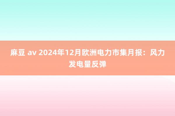 麻豆 av 2024年12月欧洲电力市集月报：风力发电量反弹