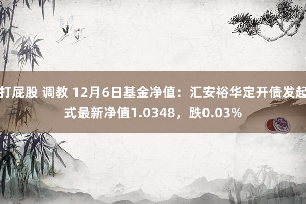 打屁股 调教 12月6日基金净值：汇安裕华定开债发起式最新净值1.0348，跌0.03%