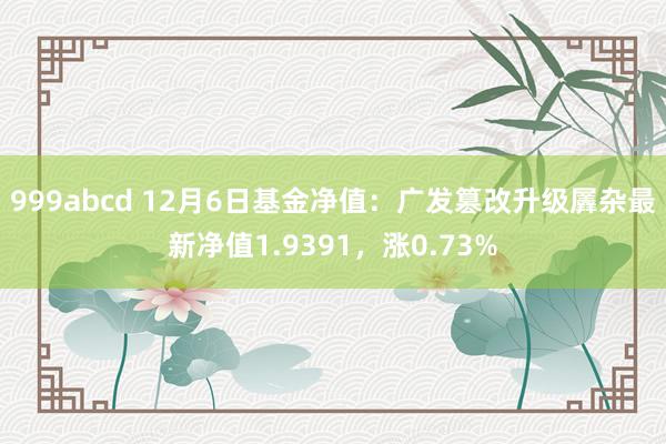 999abcd 12月6日基金净值：广发篡改升级羼杂最新净值1.9391，涨0.73%