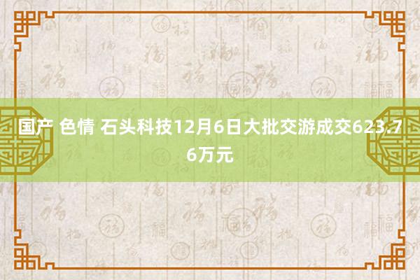 国产 色情 石头科技12月6日大批交游成交623.76万元