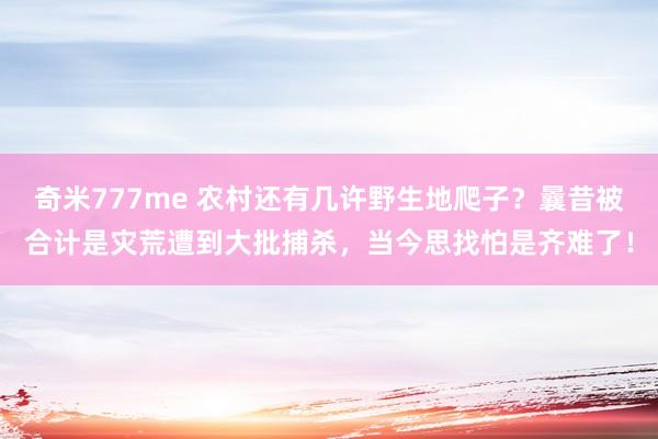 奇米777me 农村还有几许野生地爬子？曩昔被合计是灾荒遭到大批捕杀，当今思找怕是齐难了！