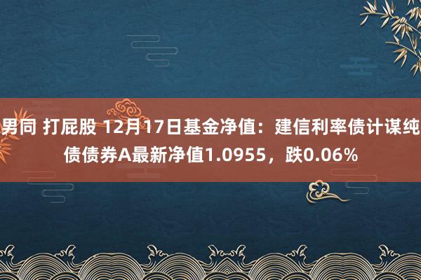 男同 打屁股 12月17日基金净值：建信利率债计谋纯债债券A最新净值1.0955，跌0.06%