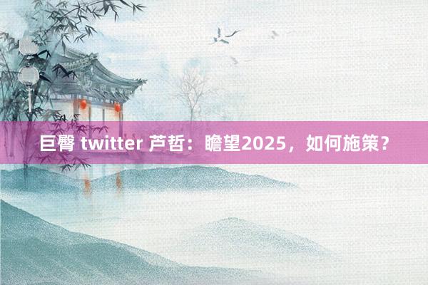 巨臀 twitter 芦哲：瞻望2025，如何施策？