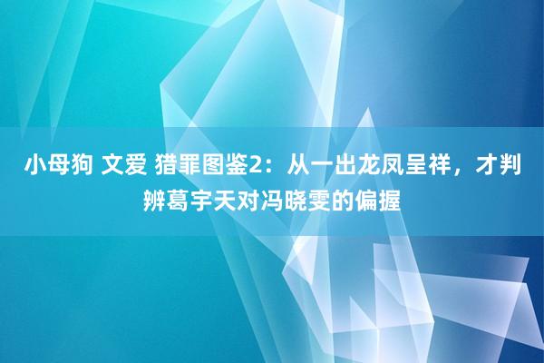 小母狗 文爱 猎罪图鉴2：从一出龙凤呈祥，才判辨葛宇天对冯晓雯的偏握