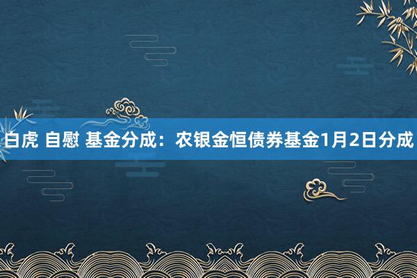 白虎 自慰 基金分成：农银金恒债券基金1月2日分成