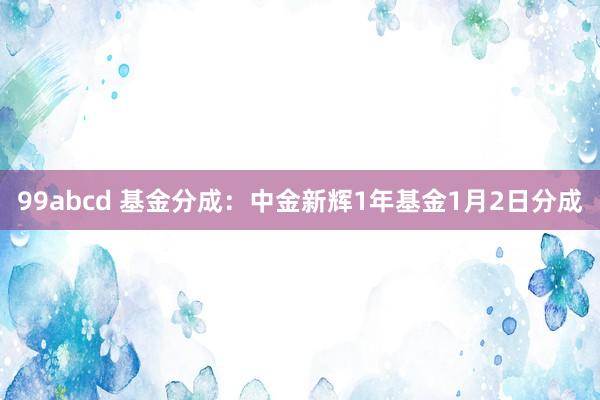 99abcd 基金分成：中金新辉1年基金1月2日分成