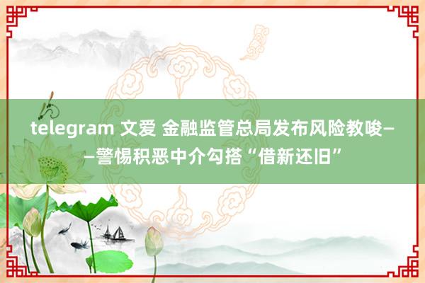 telegram 文爱 金融监管总局发布风险教唆——警惕积恶中介勾搭“借新还旧”