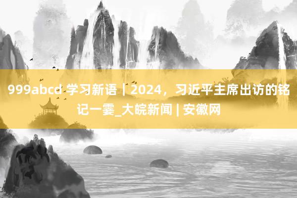 999abcd 学习新语｜2024，习近平主席出访的铭记一霎_大皖新闻 | 安徽网