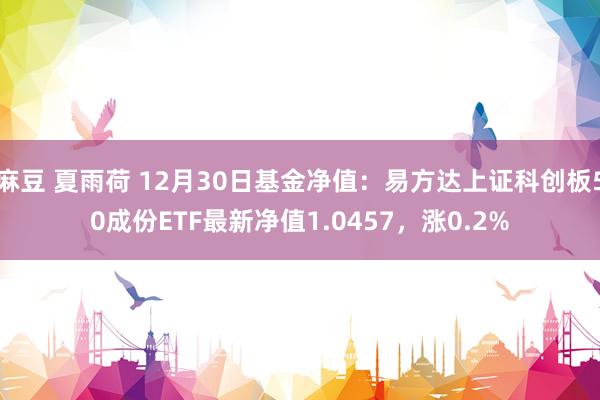 麻豆 夏雨荷 12月30日基金净值：易方达上证科创板50成份ETF最新净值1.0457，涨0.2%