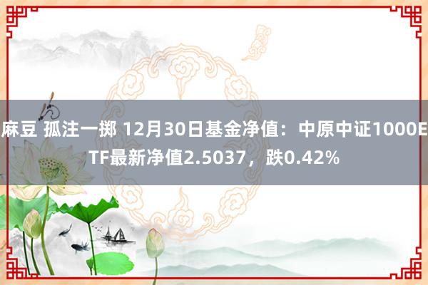 麻豆 孤注一掷 12月30日基金净值：中原中证1000ETF最新净值2.5037，跌0.42%