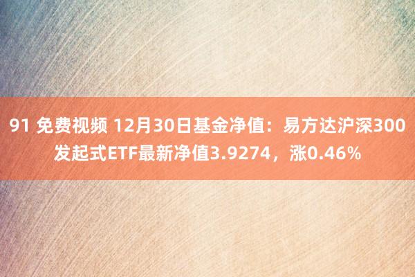 91 免费视频 12月30日基金净值：易方达沪深300发起式ETF最新净值3.9274，涨0.46%