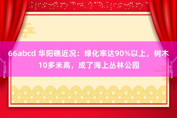 66abcd 华阳礁近况：绿化率达90%以上，树木10多米高，成了海上丛林公园