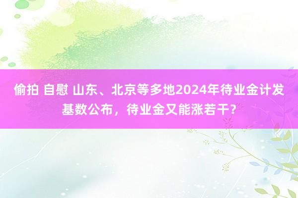 偷拍 自慰 山东、北京等多地2024年待业金计发基数公布，待业金又能涨若干？