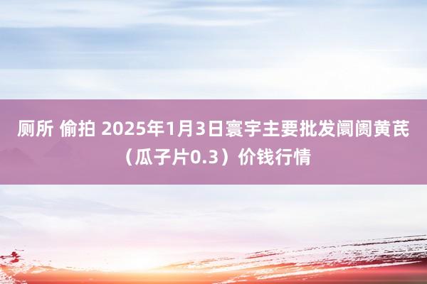 厕所 偷拍 2025年1月3日寰宇主要批发阛阓黄芪（瓜子片0.3）价钱行情