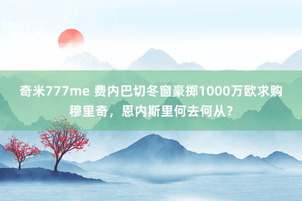 奇米777me 费内巴切冬窗豪掷1000万欧求购穆里奇，恩内斯里何去何从？