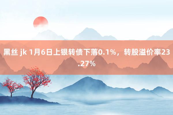 黑丝 jk 1月6日上银转债下落0.1%，转股溢价率23.27%