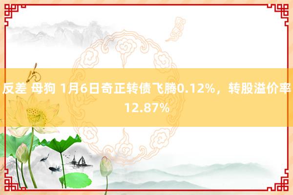 反差 母狗 1月6日奇正转债飞腾0.12%，转股溢价率12.87%