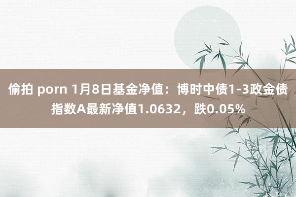 偷拍 porn 1月8日基金净值：博时中债1-3政金债指数A最新净值1.0632，跌0.05%