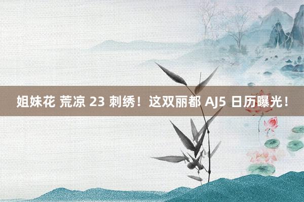 姐妹花 荒凉 23 刺绣！这双丽都 AJ5 日历曝光！