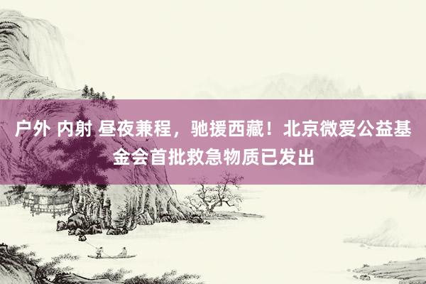 户外 内射 昼夜兼程，驰援西藏！北京微爱公益基金会首批救急物质已发出