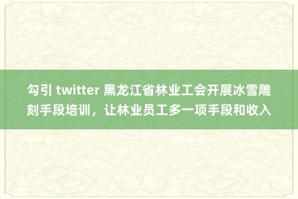 勾引 twitter 黑龙江省林业工会开展冰雪雕刻手段培训，让林业员工多一项手段和收入