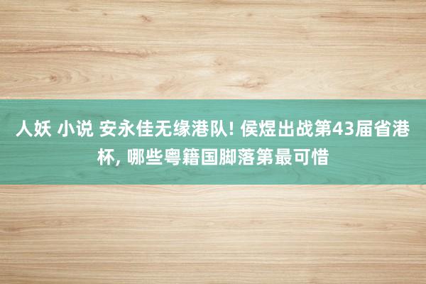 人妖 小说 安永佳无缘港队! 侯煜出战第43届省港杯， 哪些粤籍国脚落第最可惜